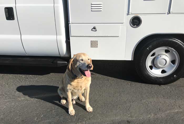 2009 Ford F-350 Super Duty XL Animal Transport/Rescue Utility  - Duke Gives His Stamp of Approval</title>
</head>

